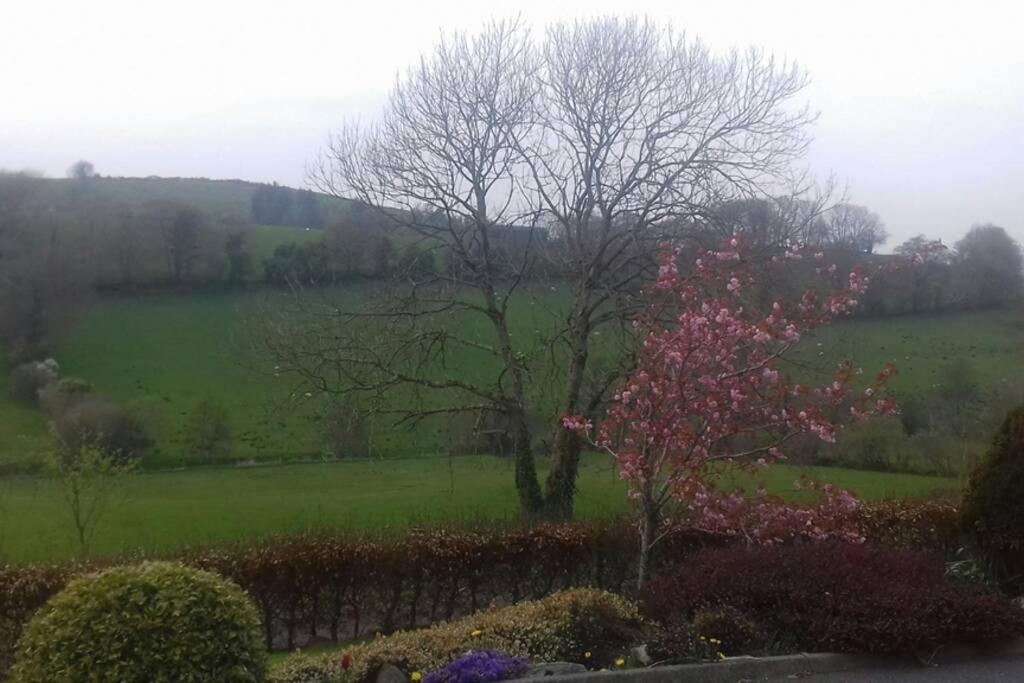 Drumgowan House Donegal Town Esterno foto